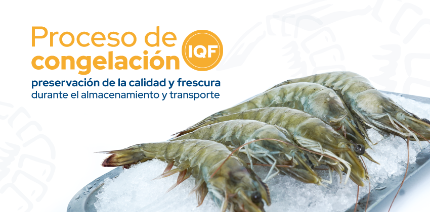 ¿Qué es el Individual Quick Freezing (IQF)?