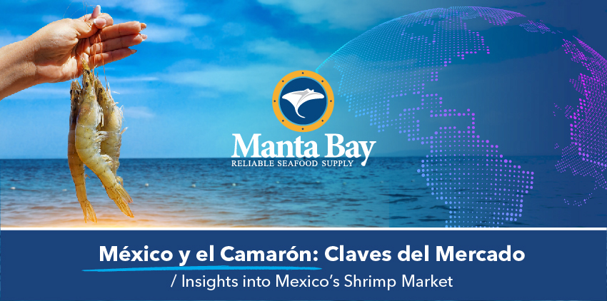 México y el Camarón: Claves del Mercado / Insights into Mexico’s Shrimp Market